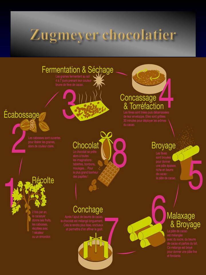 le chocolat, ses origines, sa fabrication - Chocolats Zugmeyer
